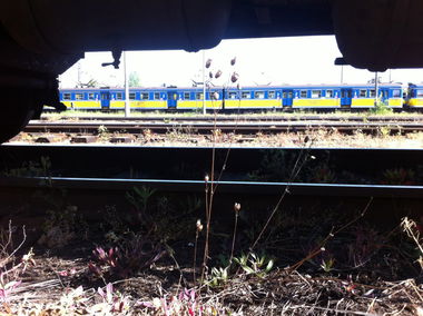 Graffiti Artwork - Photo by _Maceroners_ - Skm (2014)