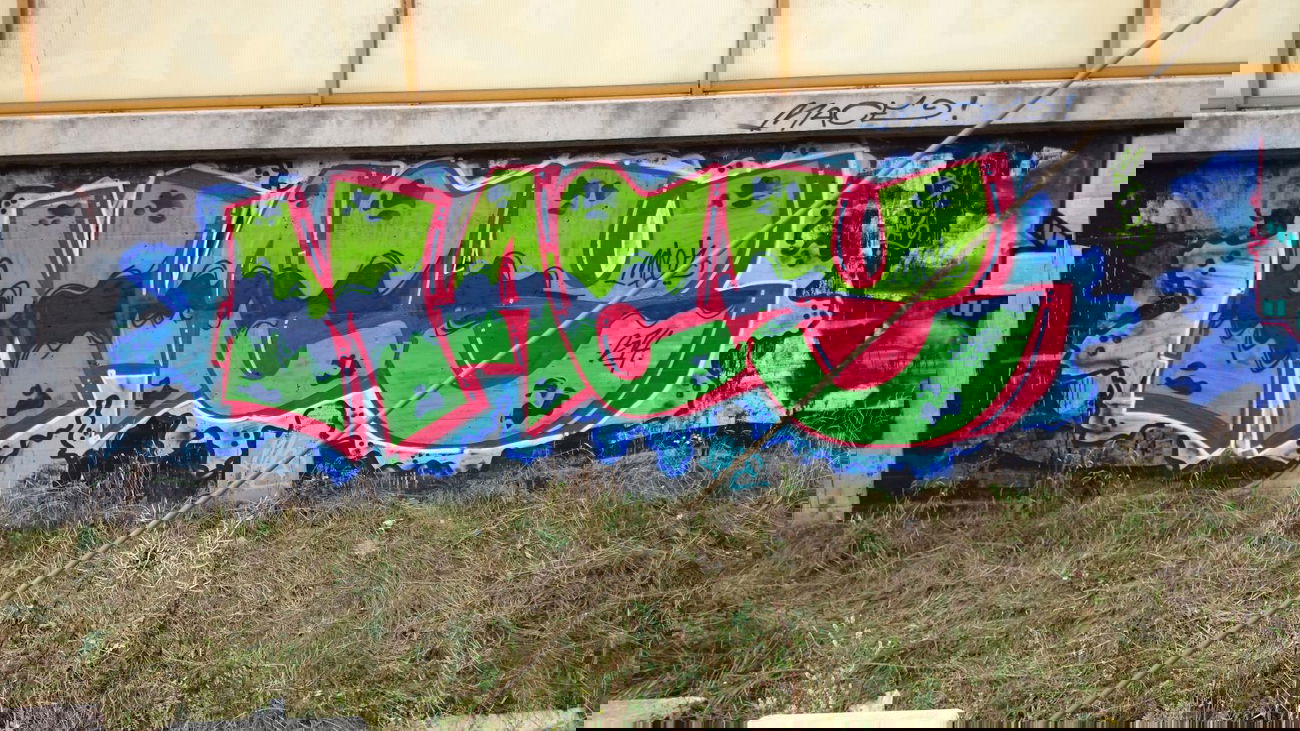 Graffiti Bombing - Photo by _Maceroners_ (2014)