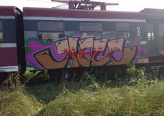 Photo #126845 by Aver