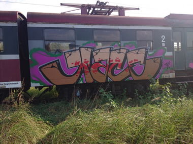 Graffiti Train - Photo by _Maceroners_ (2014)