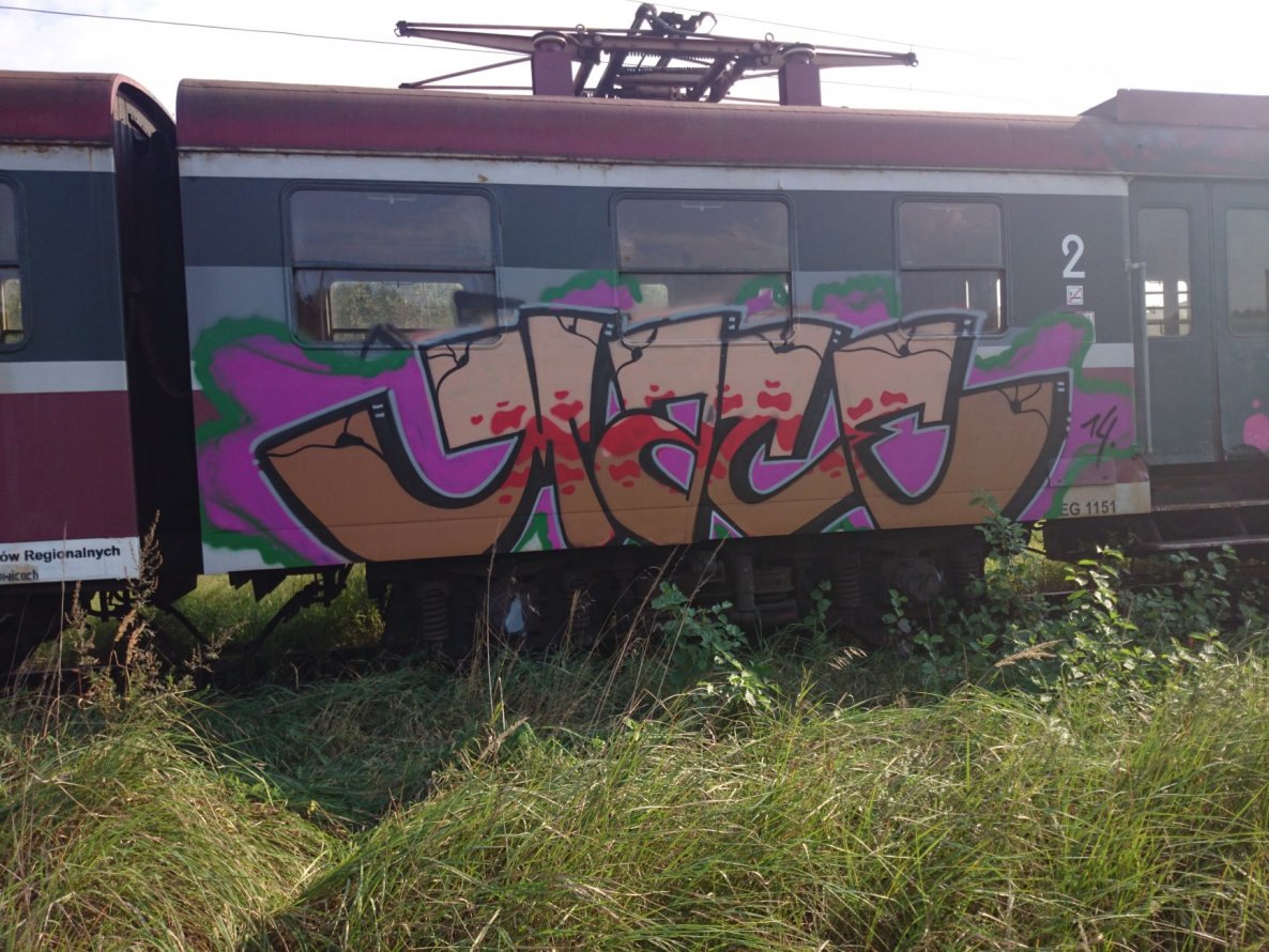 Graffiti Train - Photo by _Maceroners_ (2014)