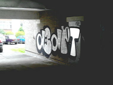 Graffiti Bombing - Photo by a3aRt