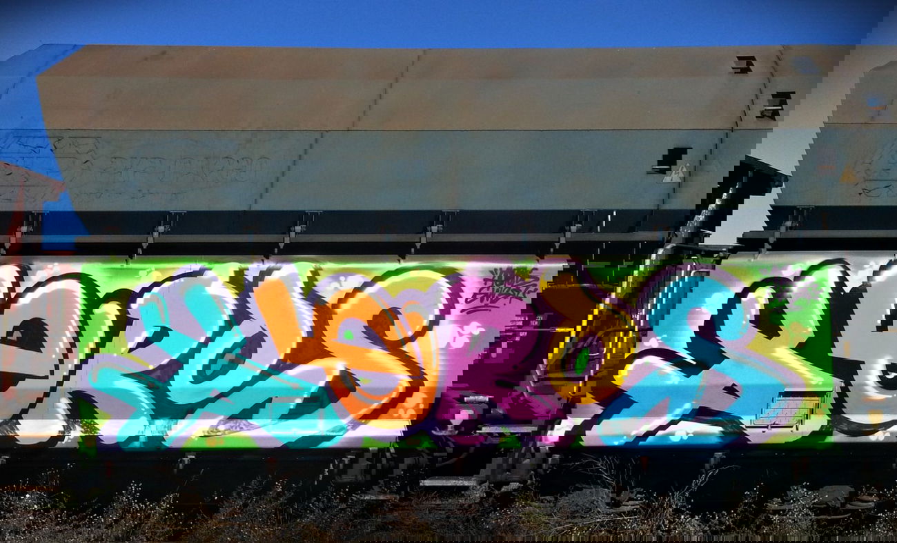 Graffiti Train - Photo by aeros - aeros, sw307 (2013)