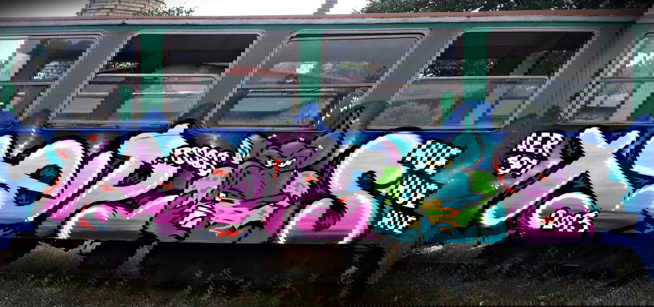 Graffiti Train - Photo by aeros - aeros, sw307, aer (2013)