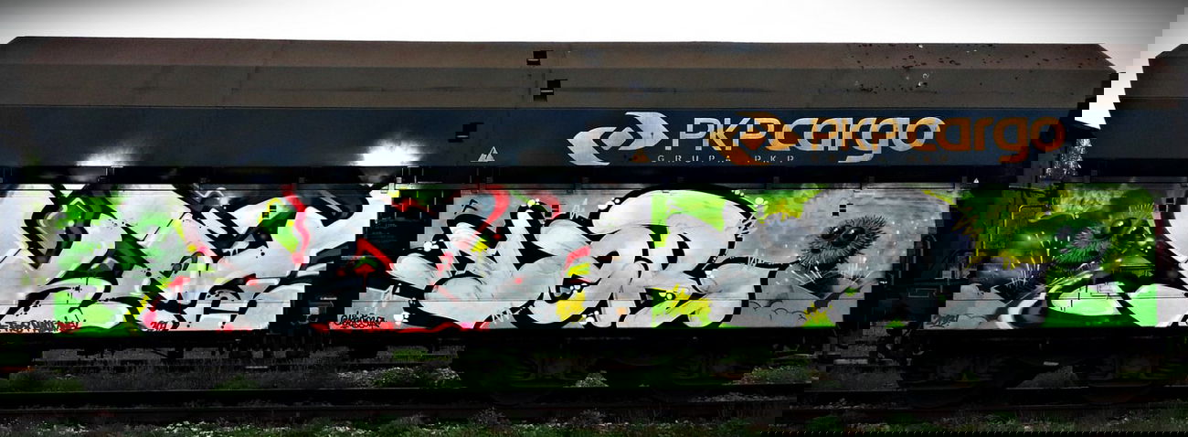 Graffiti Train - Photo by aeros - fr8, ket124, pannas (2013)