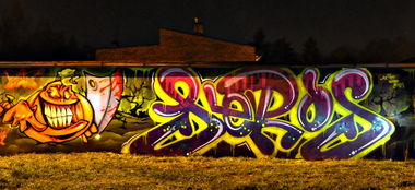 Graffiti Wall - Photo by aeros - aeros, sw307, zws (2013)