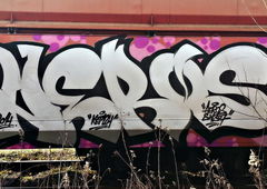 Photo #70330 by qwerty123