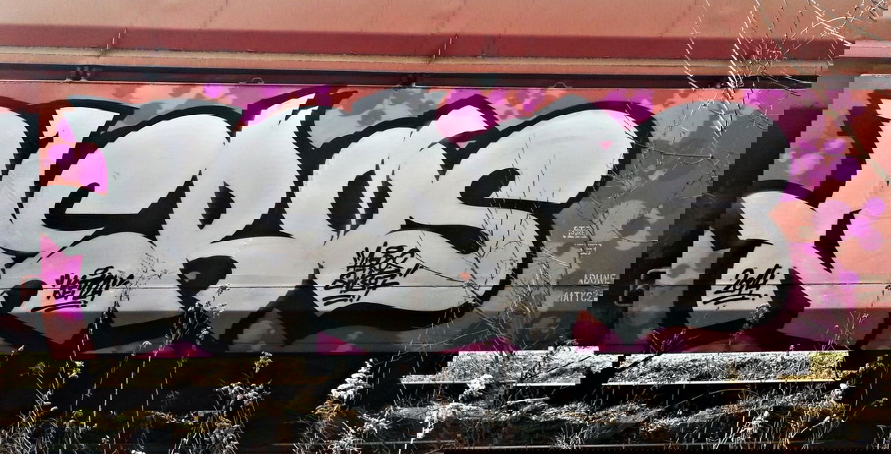 Graffiti Train - Photo by aeros - fr8, freight, graffiti (2014)