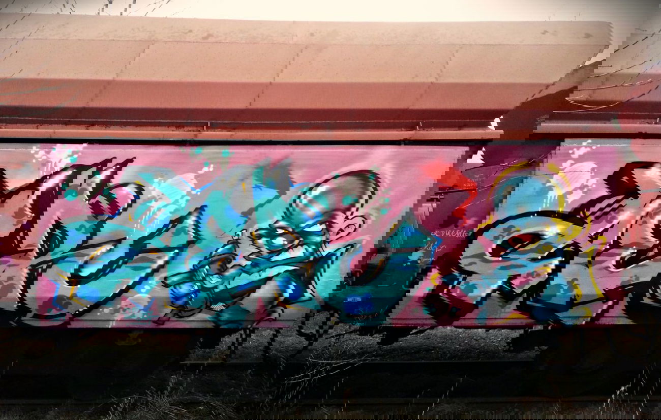 Graffiti Train - Photo by aeros - aeros, aer, sw307 (2014)