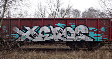 Graffiti Train - Photo by aeros - sw307, aeros.aeros307 (2014)