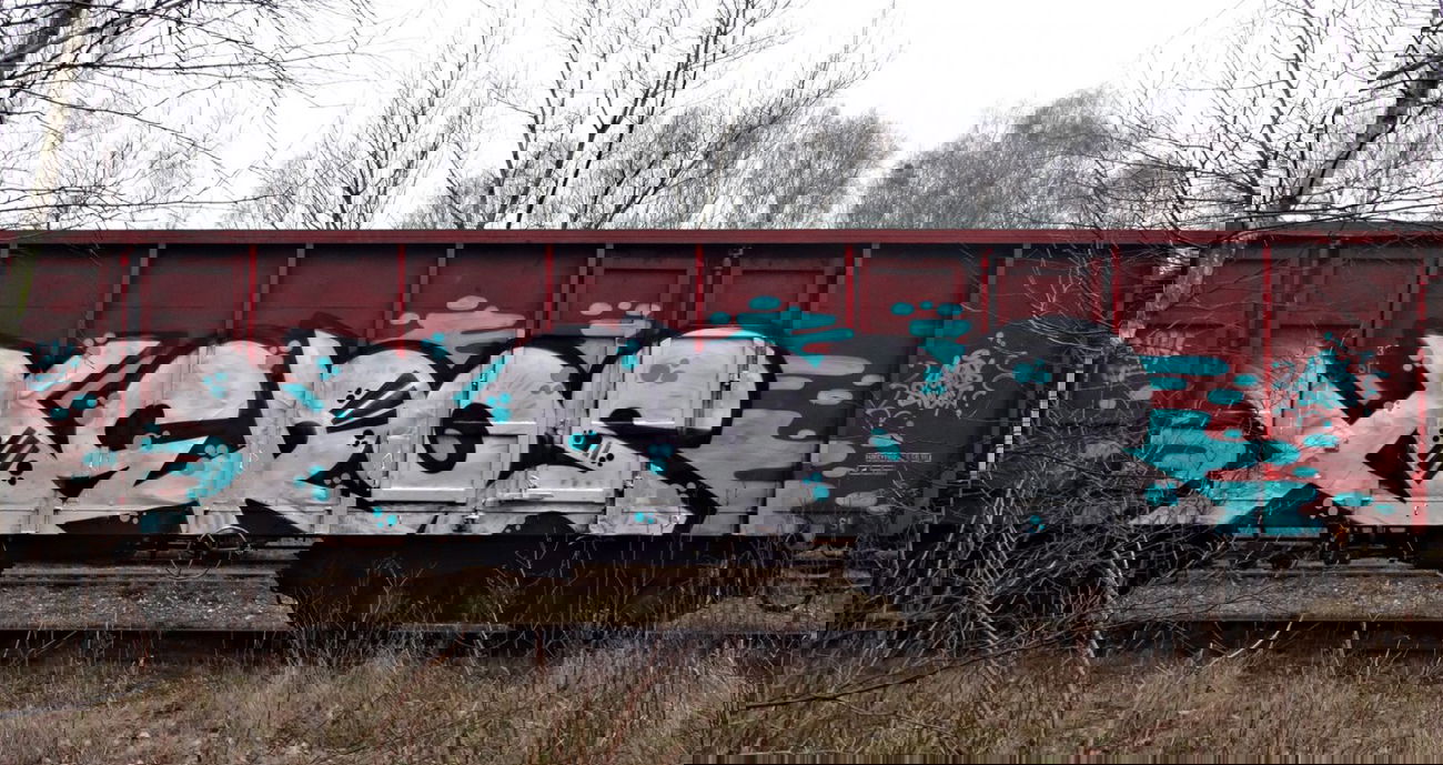 Graffiti Train - Photo by aeros - sw307, aeros.aeros307 (2014)