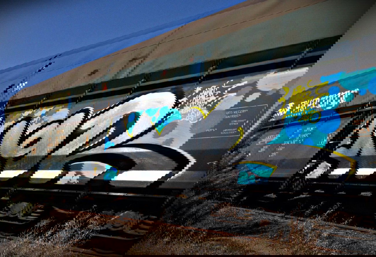 Graffiti Train - Photo by aeros - aer, sw307 (2015)