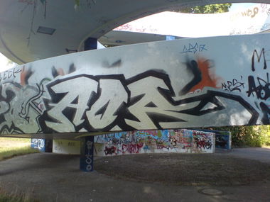 Graffiti Bombing in Berlin - Photo by aerosol - AOR, berlin, zehlendorf (2009)