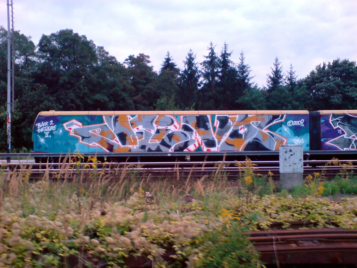 Graffiti Train in Berlin - Photo by aerosol - fino, qb, back (2009)