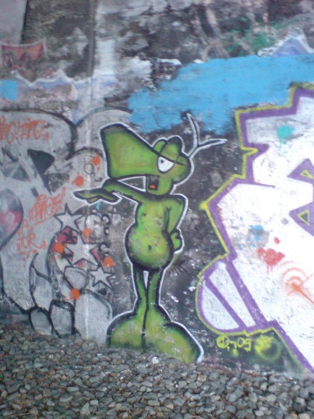Graffiti Street Art in Berlin - Photo by aerosol - eshok, frog, char (2009)