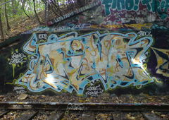 Photo #53406 by TagHagel