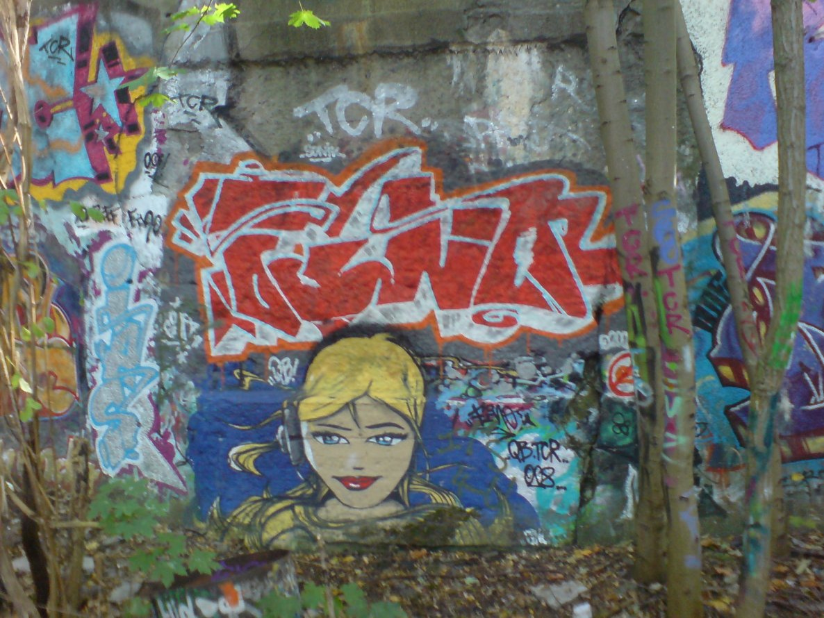 Graffiti Artwork in Berlin - Photo by aerosol - the, canion, rock (2008)