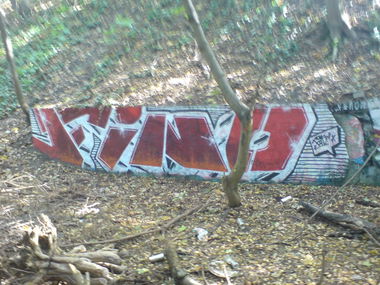 Graffiti Bombing in Berlin - Photo by aerosol - fino, the, canion