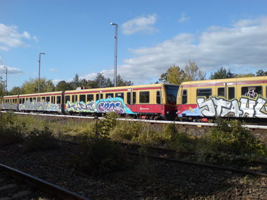 Graffiti Train in Berlin - Photo by aerosol - the, canion, rock (2009)
