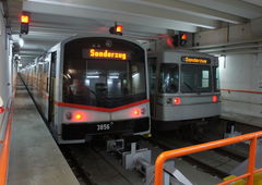 Photo #21543 by neicky