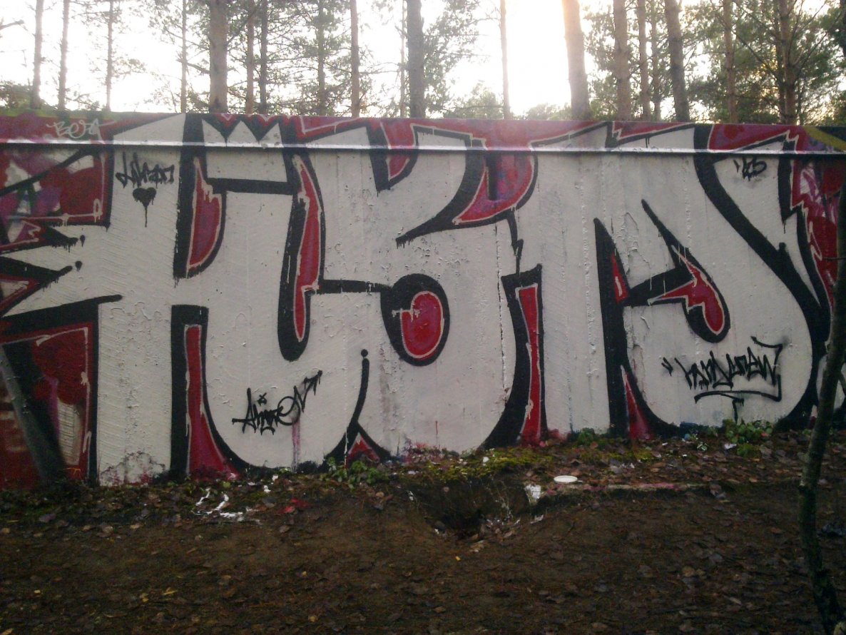 Graffiti Bombing - Photo by ahers