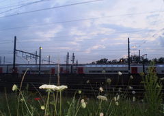 Photo #124205 by Nets1