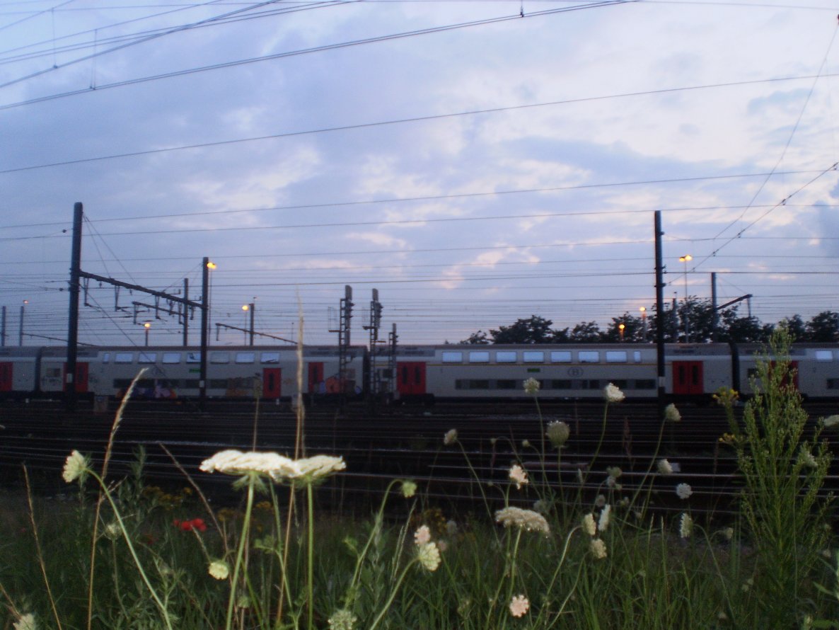 Graffiti Artwork - Photo by aidiacrew - yard, belgium