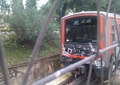 Photo #124208 by Nets1