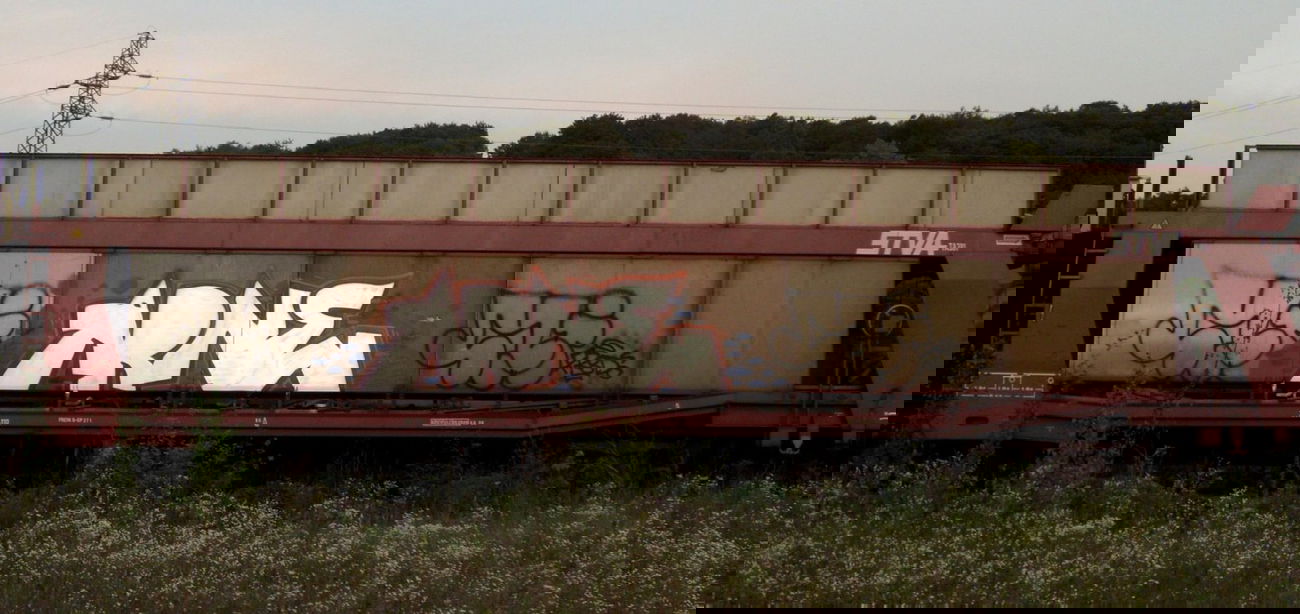 Graffiti Train - Photo by aikelneyd - Arne, freight (2014)