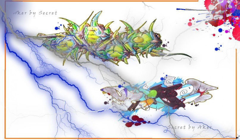 Graffiti Sketch - Photo by aker156 (2011)