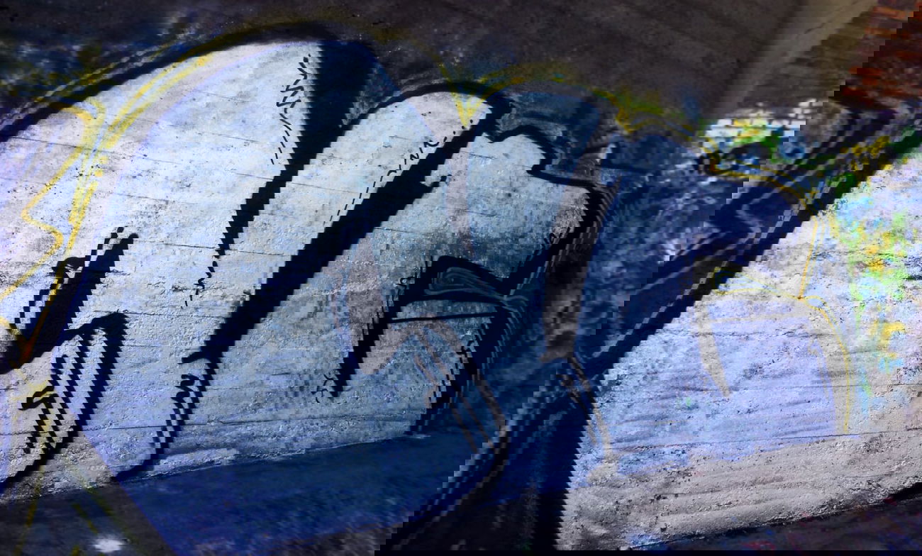 Graffiti Bombing - Photo by akoneNC - NC (2014)