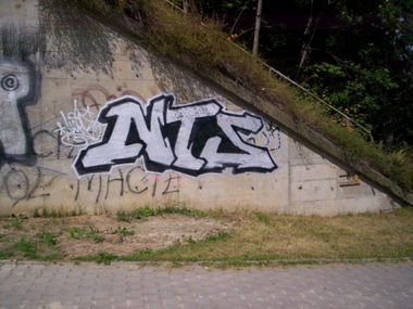 Graffiti Bombing in Poland - Photo by alcer (2013)