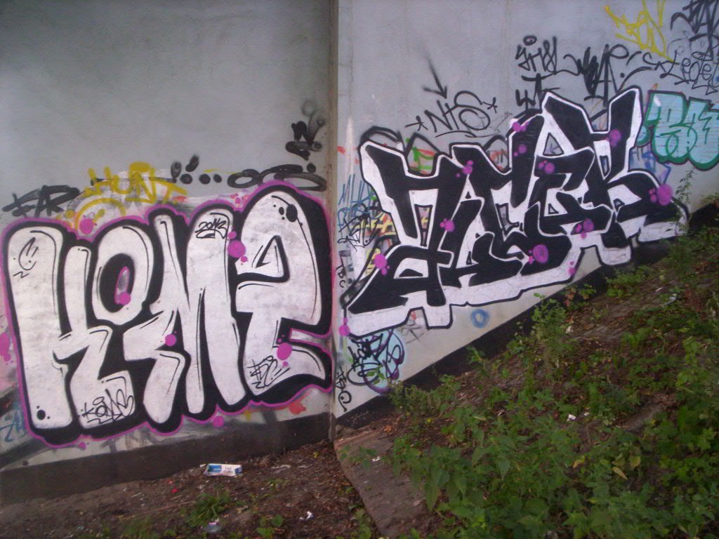 Graffiti Bombing - Photo by alcer (2013)