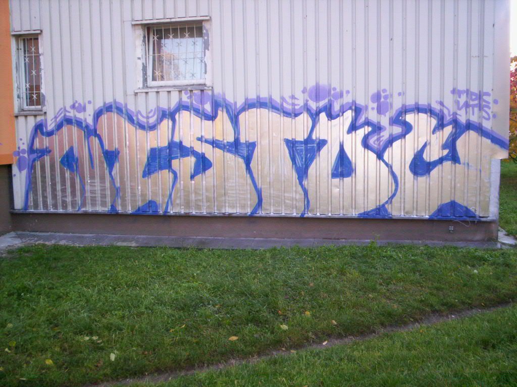 Graffiti Bombing - Photo by alcer - nts, tdc (2013)