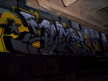 Graffiti Train - Photo by alcer - stargard (2013)