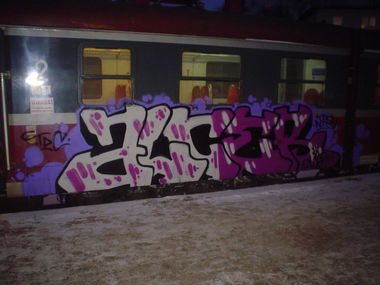 Graffiti Train - Photo by alcer (2014)