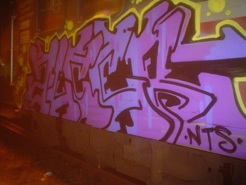 Graffiti Train - Photo by alcer (2013)