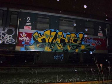 Graffiti Train - Photo by alcer (2013)
