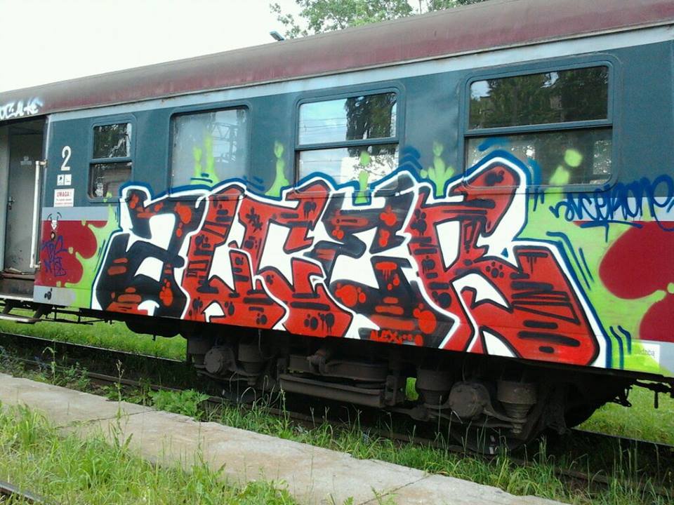 Graffiti Train - Photo by alcer