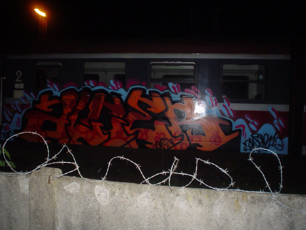 Graffiti Train - Photo by alcer