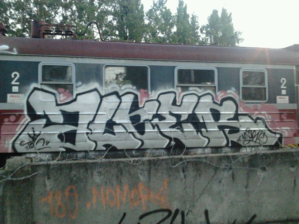 Graffiti Train - Photo by alcer