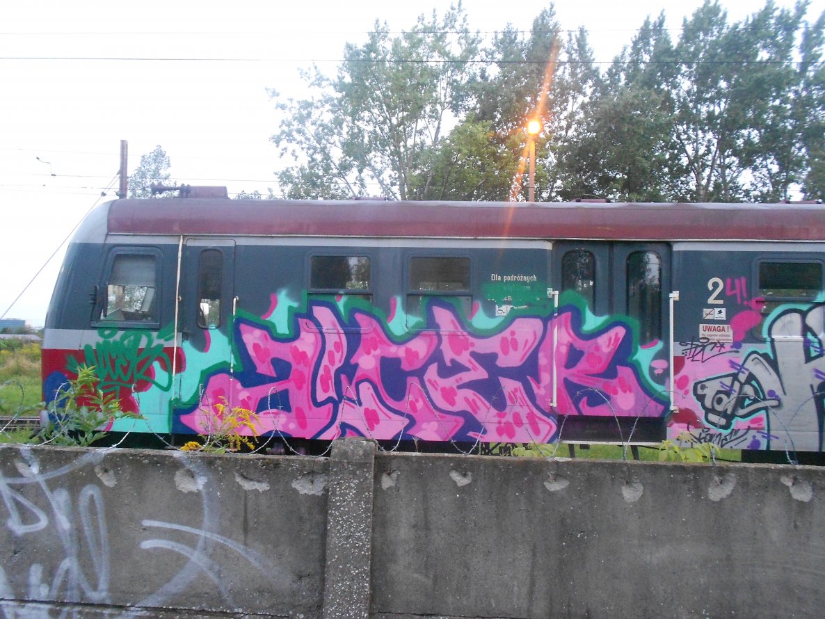 Graffiti Train - Photo by alcer