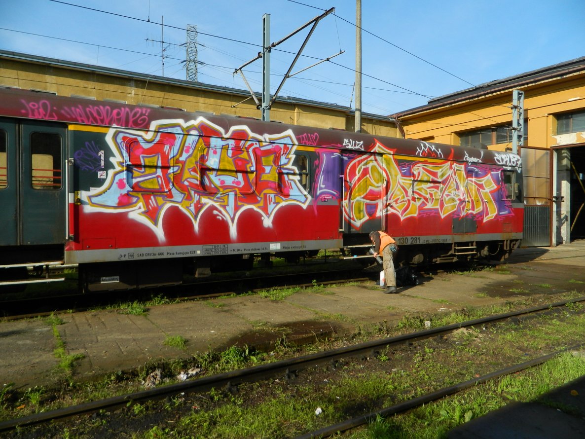 Graffiti Train - Photo by alcer