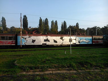 Graffiti Wall - Photo by alcer