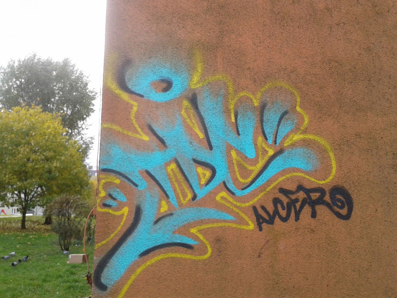 Graffiti Wall - Photo by alcer