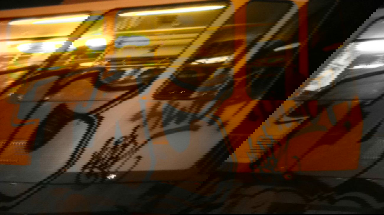 Graffiti Train - Photo by alcer