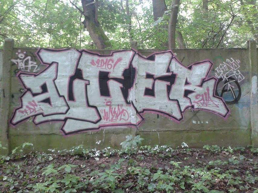 Graffiti Bombing - Photo by alcer