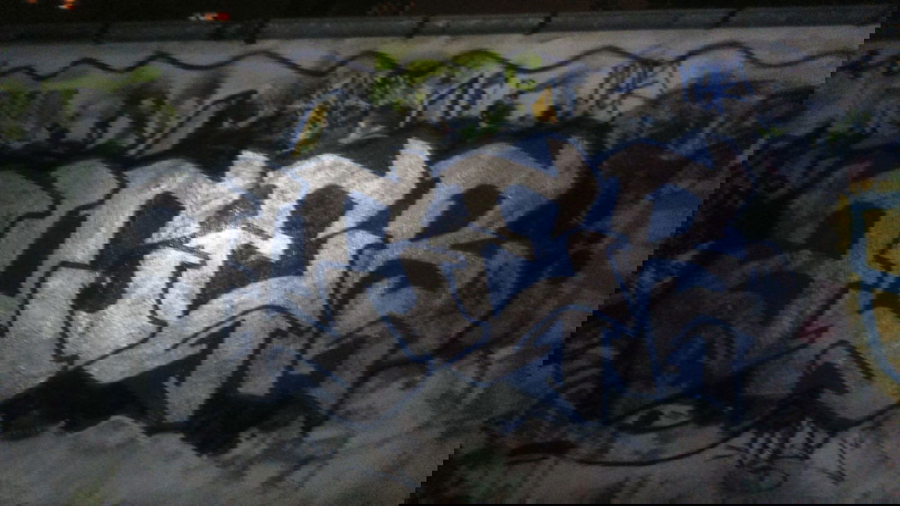 Graffiti Wall - Photo by alcer