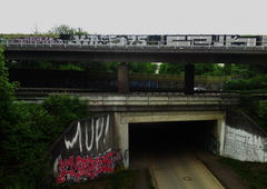 Photo #65482 by fishermann