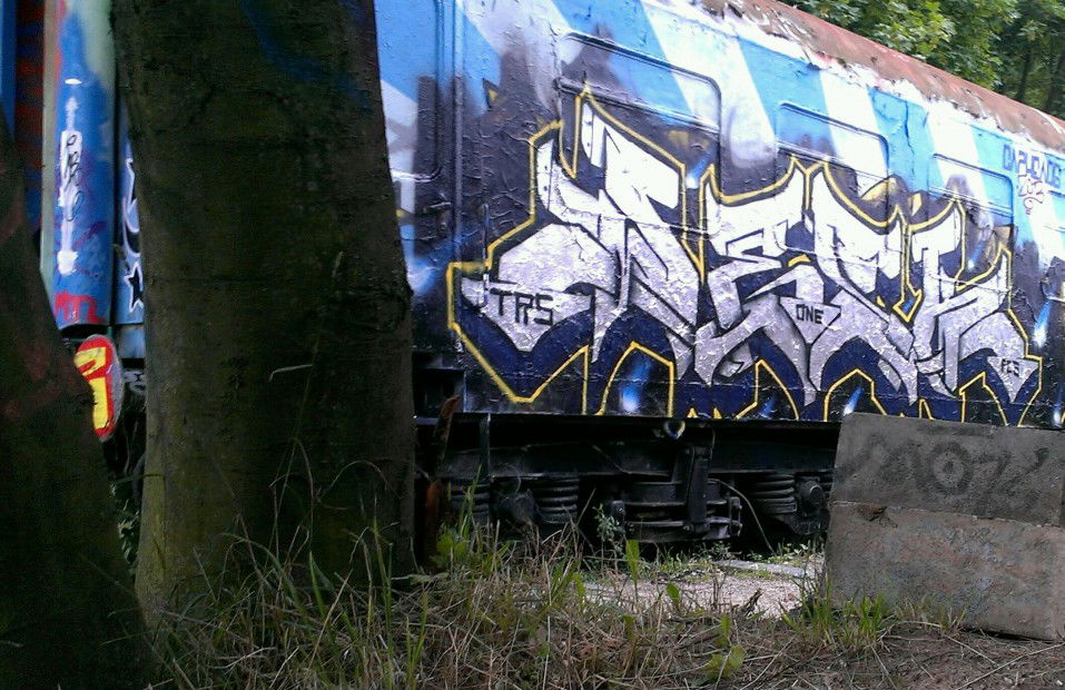 Graffiti Train in Jena - Photo by alligatorhater - wesk, trs, fcs (2013)